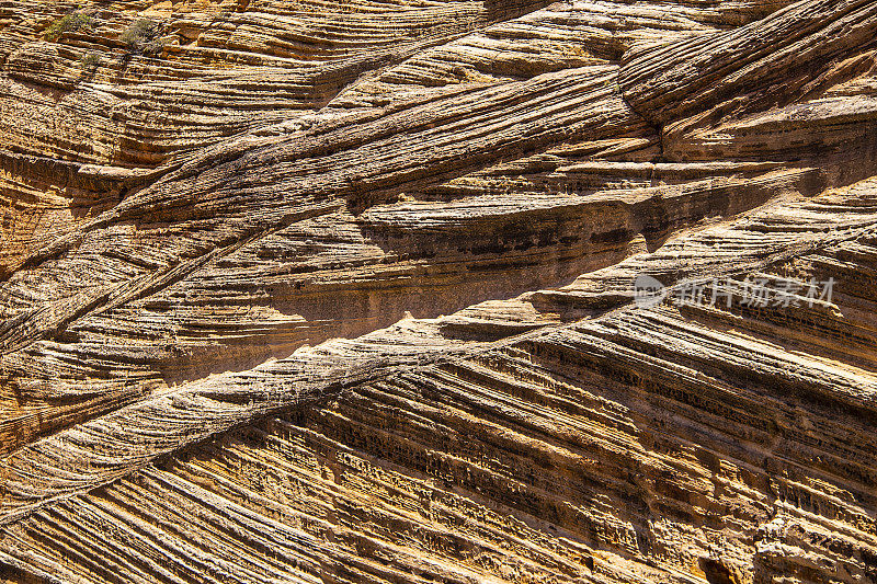 美国犹他州锡安国家公园(Zion National Park)的沉积岩侵蚀层的背景0原来是一个被落基山脉和火山推高的海床，被咆哮的河流切断。